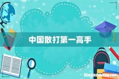 中国散打第一高手