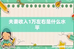 夫妻收入1万左右是什么水平
