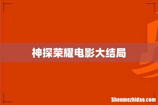 神探荣耀电影大结局