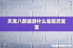 天龙八部端游什么是超灵宝宝