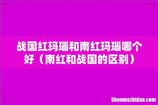 南红和战国的区别 战国红玛瑙和南红玛瑙哪个好