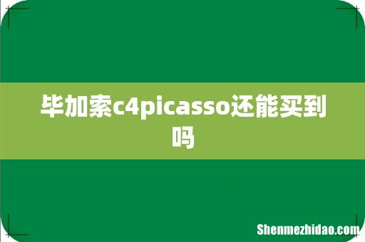 毕加索c4picasso还能买到吗