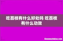吃荔枝有什么好处吗 吃荔枝有什么功效