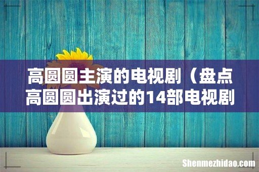 盘点高圆圆出演过的14部电视剧 高圆圆主演的电视剧