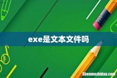exe是文本文件吗
