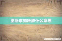 愿所求如所愿什么意思