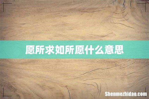 愿所求如所愿什么意思