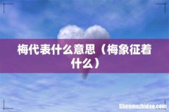 梅象征着什么 梅代表什么意思