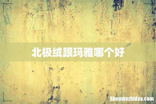 北极绒跟玛雅哪个好