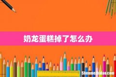 奶龙蛋糕掉了怎么办