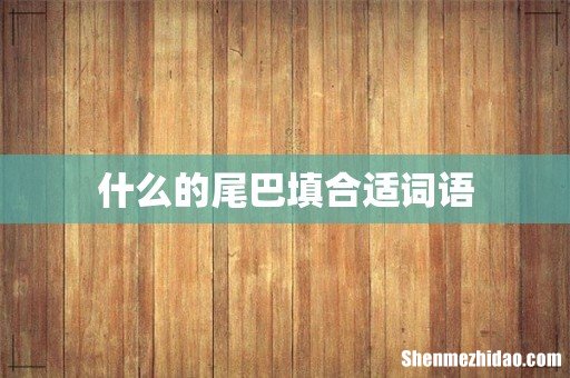 什么的尾巴填合适词语