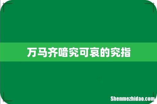 万马齐喑究可哀的究指