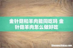 金针菇和羊肉能同吃吗 金针菇羊肉怎么做好吃