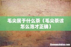 毛尖茶该怎么泡才正确 毛尖属于什么茶