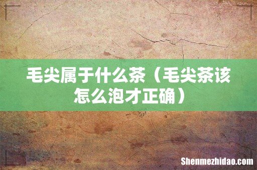 毛尖茶该怎么泡才正确 毛尖属于什么茶