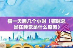 猫咪总是在睡觉是什么原因 猫一天睡几个小时
