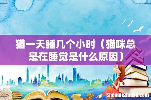 猫咪总是在睡觉是什么原因 猫一天睡几个小时