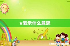 v表示什么意思
