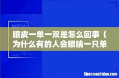 为什么有的人会眼睛一只单一只双 眼皮一单一双是怎么回事