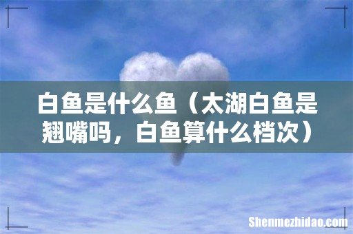 太湖白鱼是翘嘴吗,白鱼算什么档次 白鱼是什么鱼