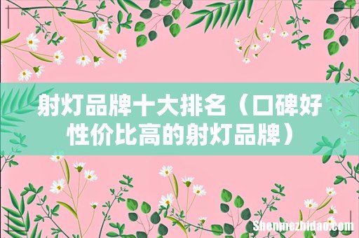 口碑好性价比高的射灯品牌 射灯品牌十大排名