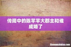 传闻中的陈芊芊大郡主和谁成婚了