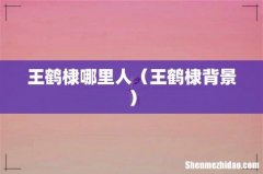 王鹤棣背景 王鹤棣哪里人