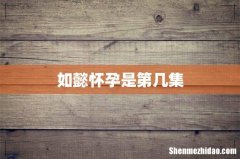 如懿怀孕是第几集