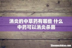 消炎的中草药有哪些 什么中药可以消炎杀菌