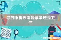 你的眼神原唱是蔡琴还是卫兰