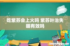 吃紫苏会上火吗 紫苏叶治失眠有效吗