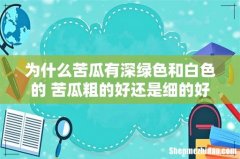 为什么苦瓜有深绿色和白色的 苦瓜粗的好还是细的好
