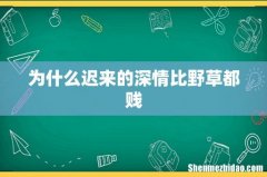 为什么迟来的深情比野草都贱