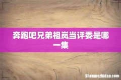奔跑吧兄弟祖岚当评委是哪一集