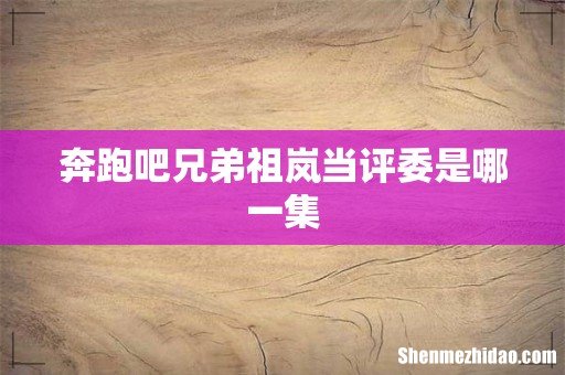 奔跑吧兄弟祖岚当评委是哪一集