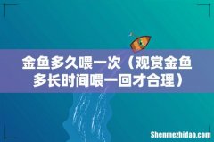观赏金鱼多长时间喂一回才合理 金鱼多久喂一次