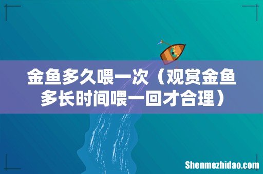 观赏金鱼多长时间喂一回才合理 金鱼多久喂一次