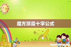 魔方顶层十字公式