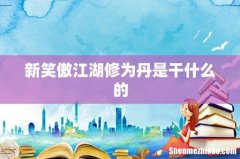 新笑傲江湖修为丹是干什么的