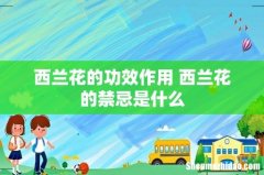 西兰花的功效作用 西兰花的禁忌是什么