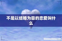 不是以结婚为目的恋爱叫什么