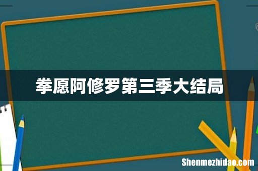 拳愿阿修罗第三季大结局