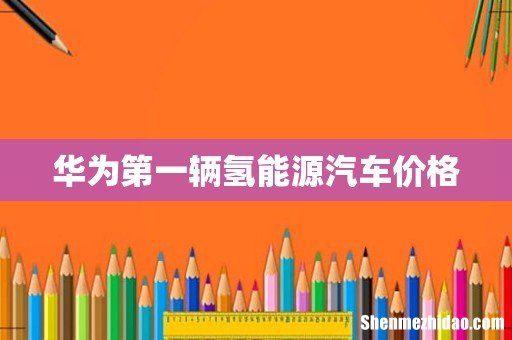 华为第一辆氢能源汽车价格