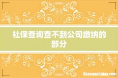 社保查询查不到公司缴纳的部分