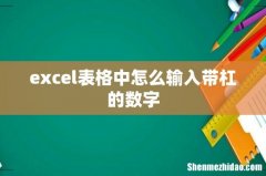 excel表格中怎么输入带杠的数字