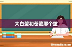 大白鹭和苍鹭那个重