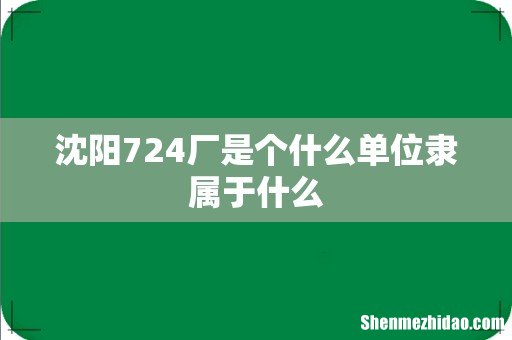 沈阳724厂是个什么单位隶属于什么