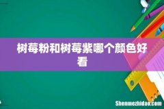 树莓粉和树莓紫哪个颜色好看