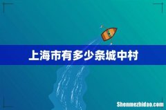 上海市有多少条城中村