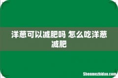 洋葱可以减肥吗 怎么吃洋葱减肥
